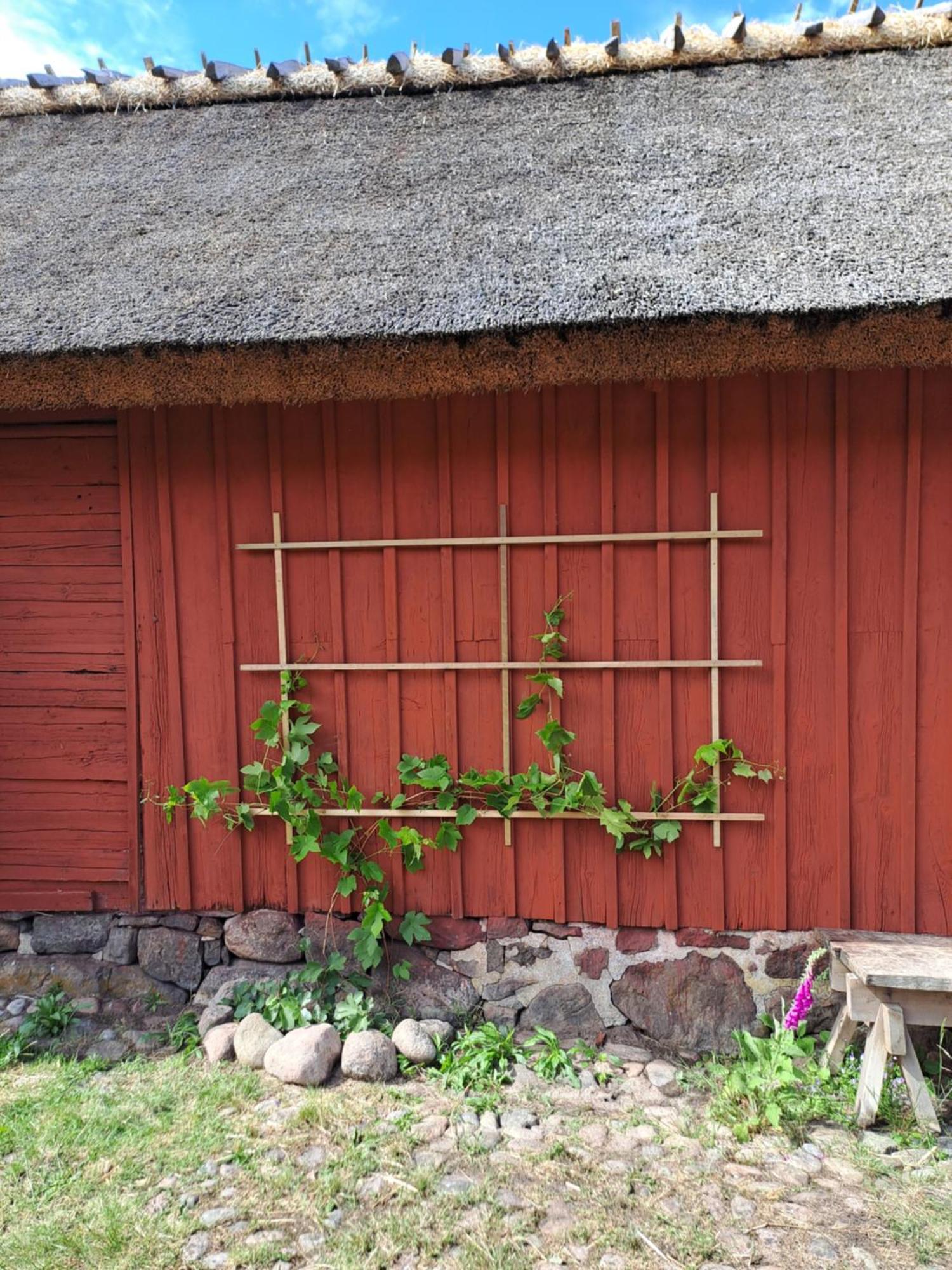 Apelviksgarden B&B Varberg Extérieur photo